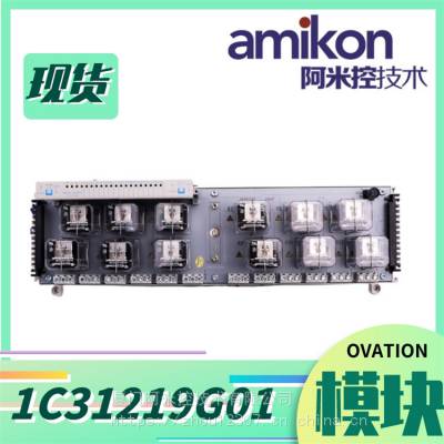 1C31129G03 ģģ