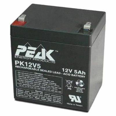 法国PEAK蓄电池PK12V40 12V40AH仪器 UPS/EPS电源配套