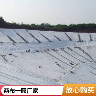 人工湖防渗 鱼塘护坡 绿化景观边坡防护 两布一膜复合土工膜
