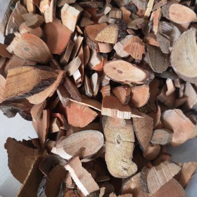 中药材火把花根价格批发厂家