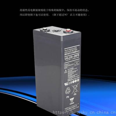 YUASA汤浅蓄电池UXL220-2N阀控密封式2V200AH直流屏UPS用铅酸电瓶