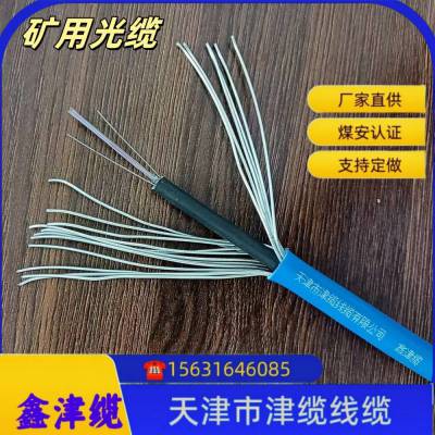 煤矿用阻燃铠装国标通信光缆MGXTSV-4B/6B/8B/10B/12B 鑫津缆厂家