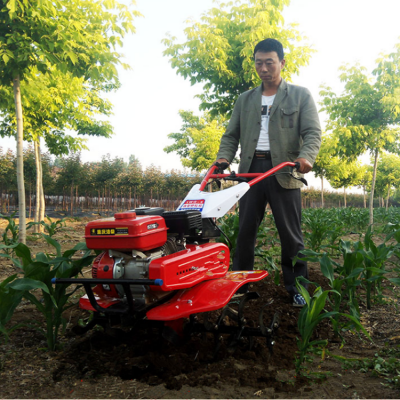 农用小型耕地机 微型多功能菜地犁地机 菏泽市果园田园翻地机