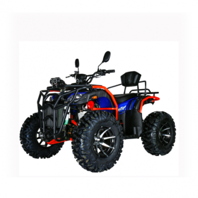 300CC 4x4 4ٴ ɳ̲ γԽҰ Ħг