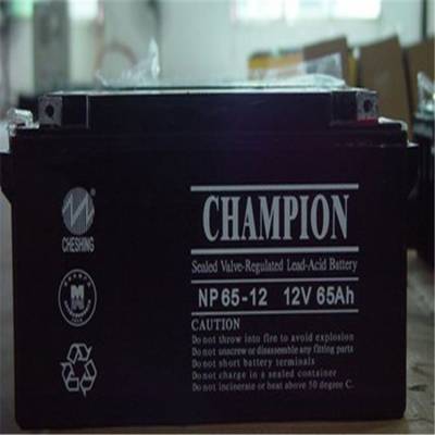 Ʒ*** NP24-12 ***12V24AH EPS UPSר