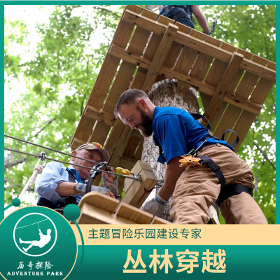 历奇探险-树上穿越设备-儿童拓展设施-厂家直供
