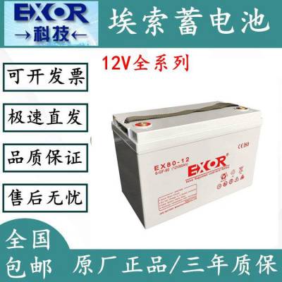 EXOR埃索蓄电池 EX65-12 12V6***H 精密仪器应急铅酸免维护备用电源