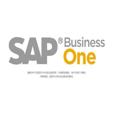 ܽҵERPϵͳ SAP Business One ṩ