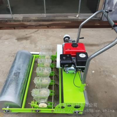 汽油自走式白菜精播机 温室大棚香菜播种机 免间苗菜籽精播机