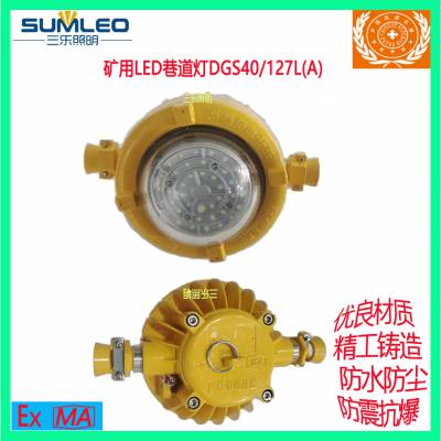 ú÷LED͸DGS40/127L(A)