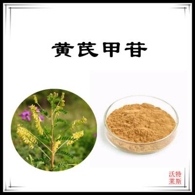 沃特莱斯生物 黄芪甲苷10% 提取液 多规格可定制 棕黄色粉末