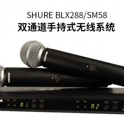 Shure/ BLX24/PG58߻Ͳֱ˫ֳKֳ̨ݳݽ