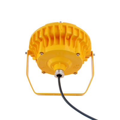 糧100W ԲηLEDƼ۸