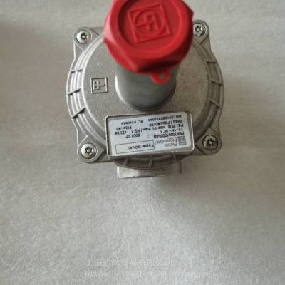 FMF30153000***B Fiorentiniư¼ѹ