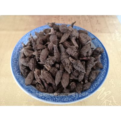 五毒根功效与作用 草乌产地批发价格哪里购买 多少钱一公斤