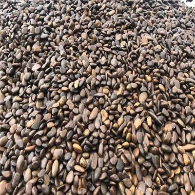 来宾变电站鹅卵石 黑白 杂色鹅卵石荣茂厂家 