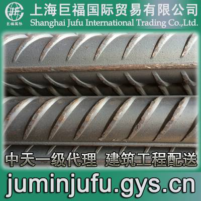600MPaǿֽ HRB600Ƹ ֱ25mm 