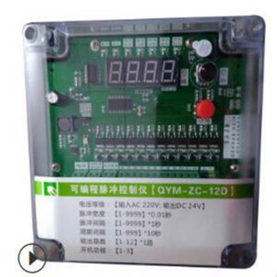 可编程脉冲控制仪 型号:QYM-ZC-12D库号：M385721