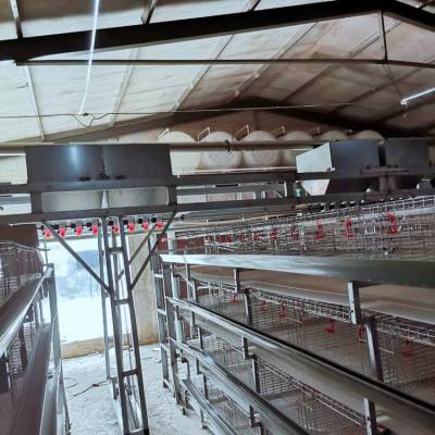 养殖养鸡设备龙门式三列四层全自动上料机行车式自动喂料机