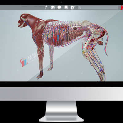 3D兽医学实验室 畜牧兽医虚拟仿真系统