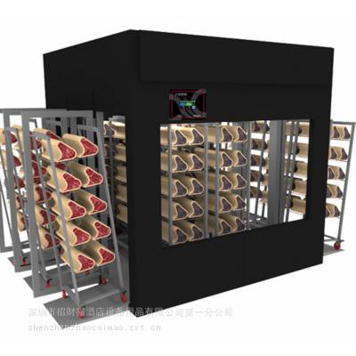 意大利进口Stagionello® Meat Curing Device 600Kg、1200KG、1800KG Tunnel通道式熟成老化牛肉柜，排酸柜