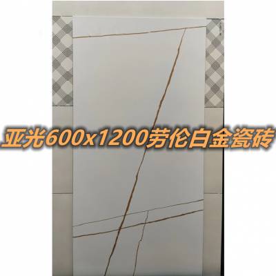 ƹװ׽ש600x1200mm¹שɫשȫǽשĥҰ