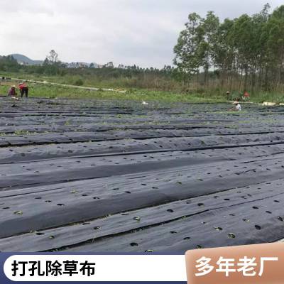 ***pp防草布120克报价 黑色农用盖草布 果树遮草布