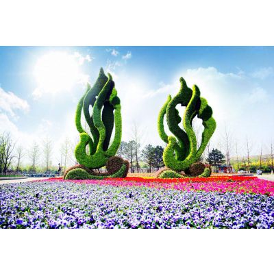 百坊源合作社设计制作五色草造型 立体花坛 植物绿雕 提供优质五色草