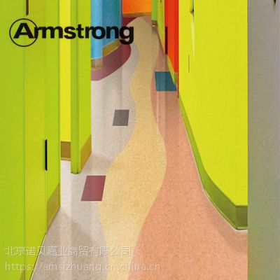 ķ˹׳\Armstrongϵذ\2.6mm