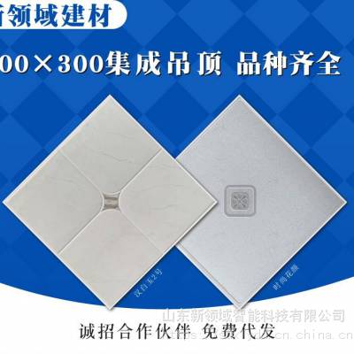 ɵ۰峧ҰƷƬƬĹӦḲĤ߷ӹͿ300*300