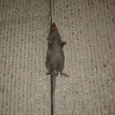 ཭˾  