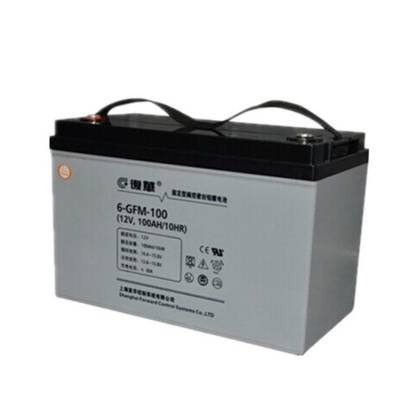 复华蓄电池 6-GFM-100 保护神电池12V100AH/10HR 直流屏 UPS电源配套