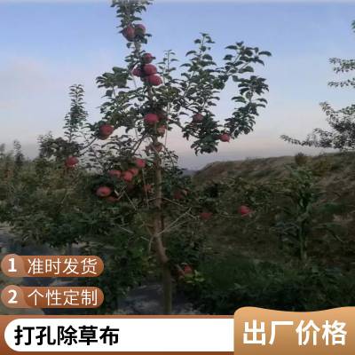 果树专用防草布pp环保 透气保湿盖草布 农用防草布 长期供应