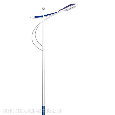 太阳能照明灯具厂家 LED市电路灯价格