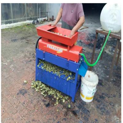 荥阳市青核桃剥皮机 小型家用青皮核桃脱皮清洗机 鲜核桃扒皮机 山