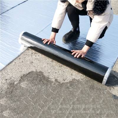 屋顶补漏材料 sbs防水卷材楼顶涂料自粘 屋面沥青隔热免火烤油毛毡