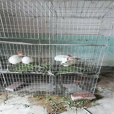 宠物兔兔笼 子母兔笼组装 兔笼***格