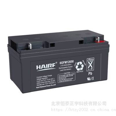 HAIRF蓄电池6GFM12240 12V24AH/20HR 高低压配电柜 UPS应急电源