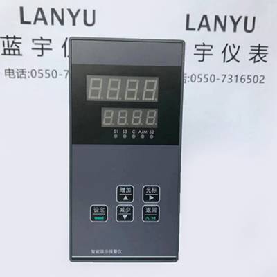 LDTB-3152/VA智能数字显示报警仪