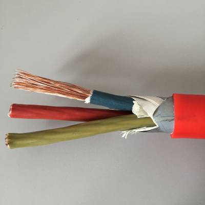 耐高温氟塑料电缆F46GRP-3*6+1*4【维尔特牌】