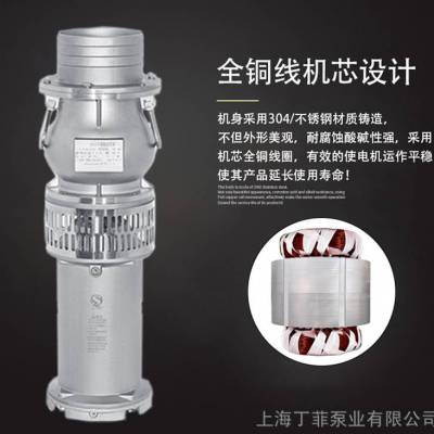 QY40-21-4 QY小老鼠潜水泵