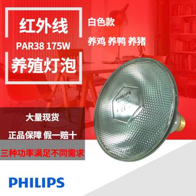 【philips飞利浦红外线灯泡 rar38 175w*美容*灯泡】价格_厂家