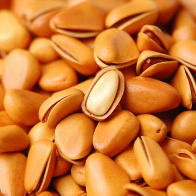 北京巴基斯坦松子进出口通关提前办理哪些文件欢迎咨询佰棠供应