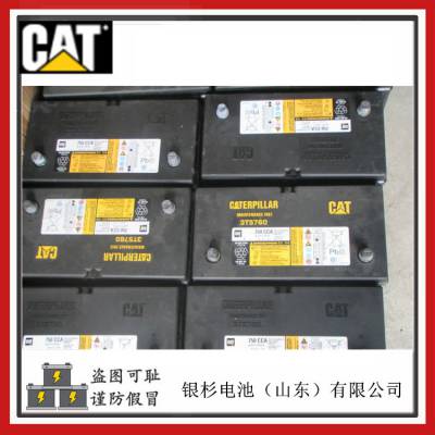 CAT3T-5760Ĵʽװػ12V-100AH/750CCA