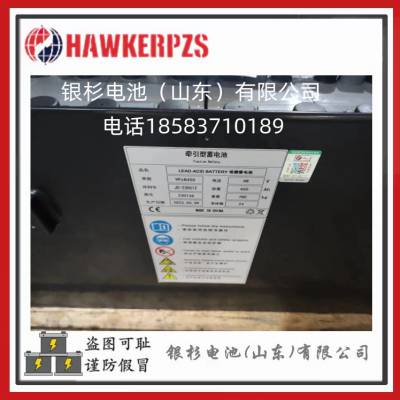 Ӣ4PZS320泵48V320AHǣ͵ƿ