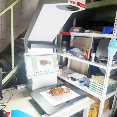 iscan植物标本扫描仪中医药植物腊叶标本数字化杭州