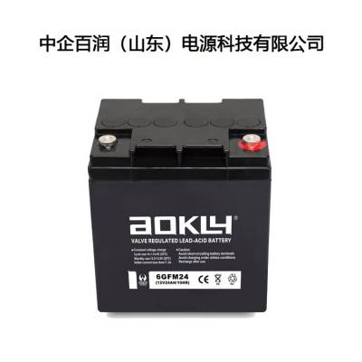 奥克莱蓄电池6GFM24免维护铅酸电源12V24AH直流屏配电柜用