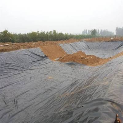 土工膜生产人工湖鱼塘养殖膜建筑工地用防渗膜0.2-2.0mm