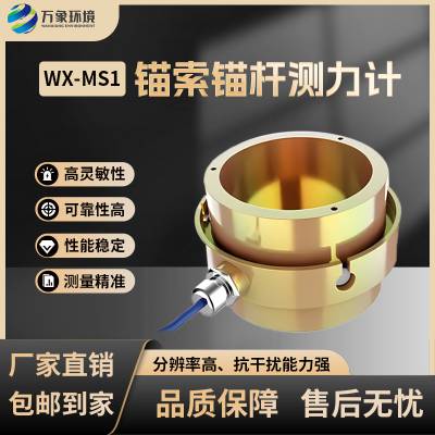 锚索测力计 锚索锚杆测力计 锚索计 万象环境 WX-MS1