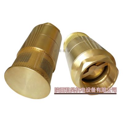 现货铜双门底阀 油罐车铜底阀 加油站加油机内螺纹底阀